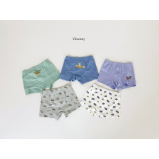 바닐라버니-스페이스팬티