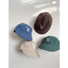 디그린-비스타캡